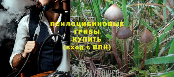 гашик Фёдоровский