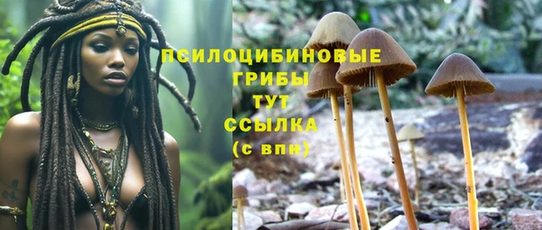 винт Козловка