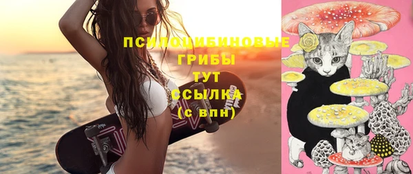 винт Козловка